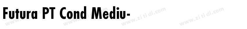 Futura PT Cond Mediu字体转换
